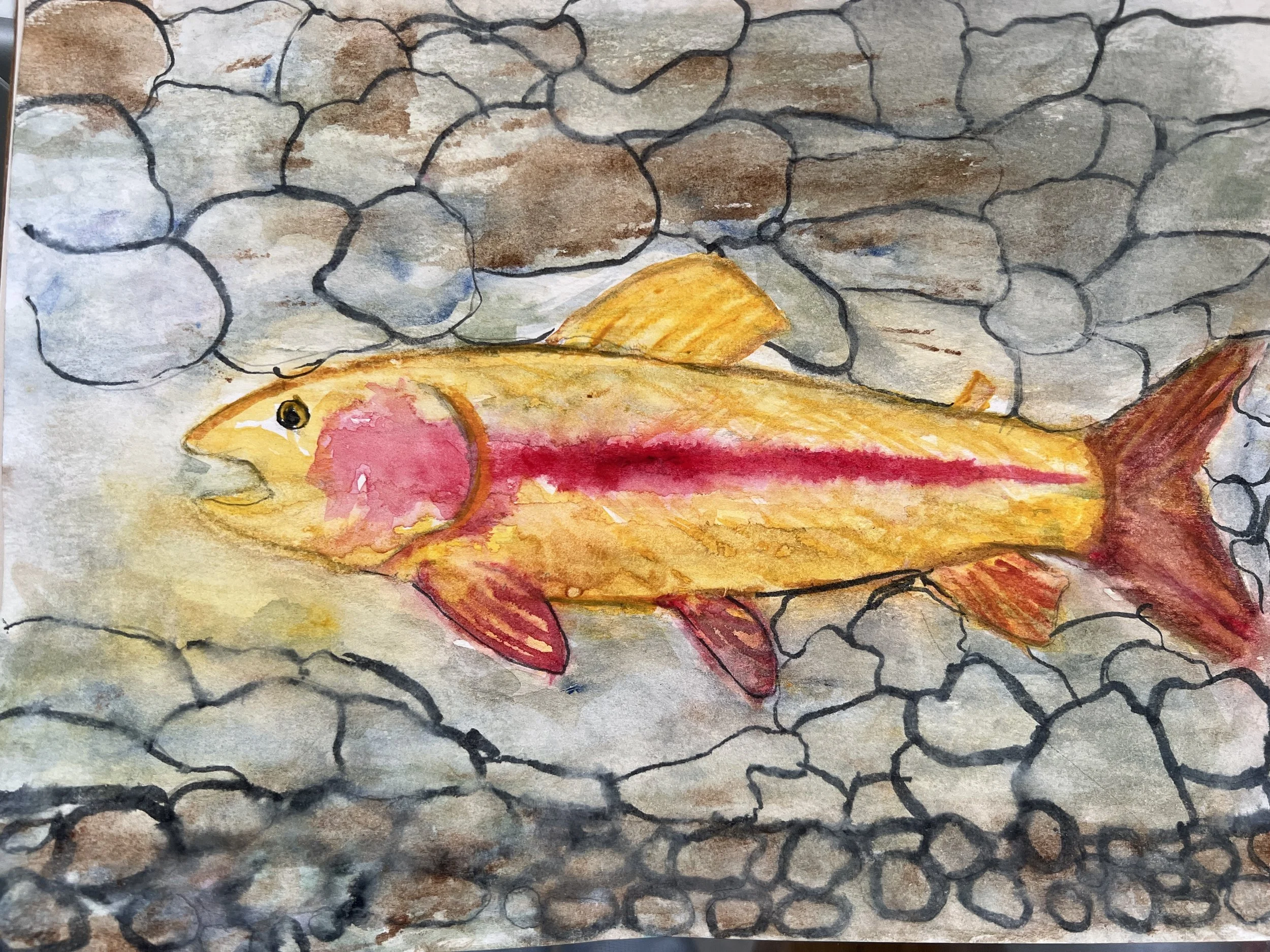 2024 - Fish Art 1st Place | Discover Top Fish Art — Art of